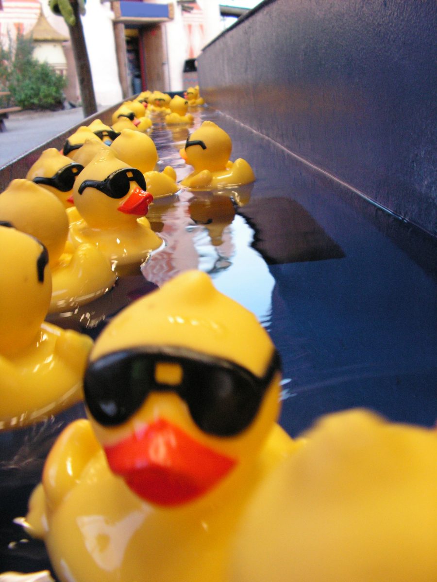 rubber duck race