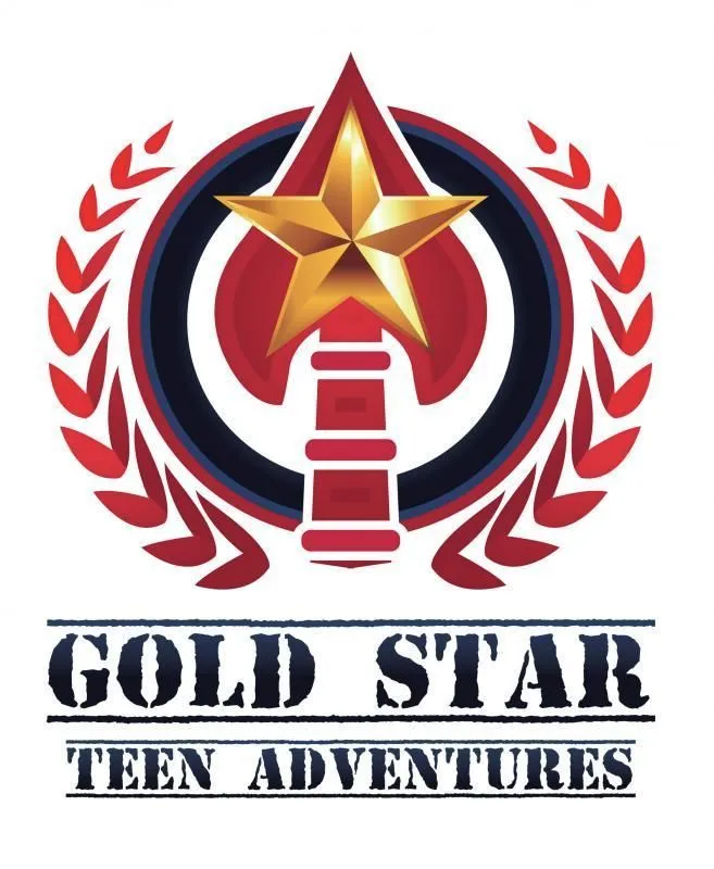 Gold star logo